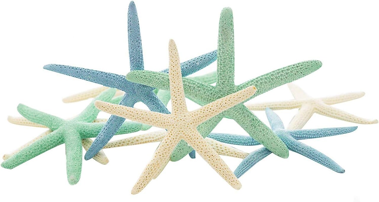 Starfish Decor 10 Blue Green & White Finger Star Fish 6-8 Inch Starfish for Crafts